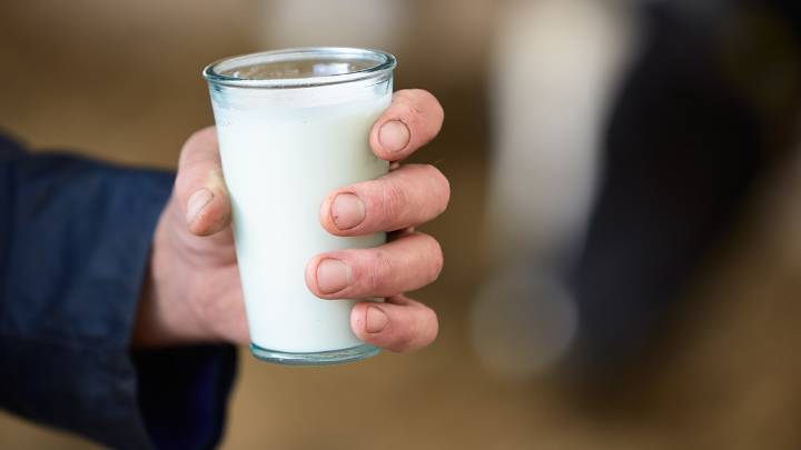 Florida farm identified as source of raw milk that sickened 21