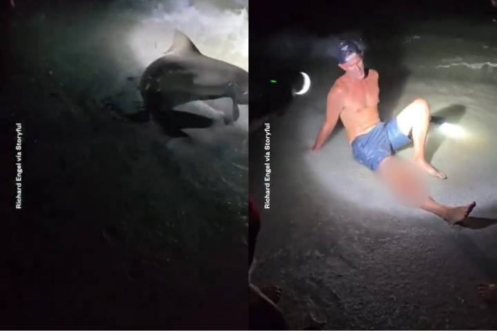 Hombre fue mordido por un tiburón limón en Florida mientras tomaba una selfie de pesca