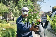 Embellecen San Luis Capital con flores de ornato en espacios emblemáticos