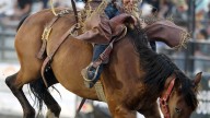 Guide to the 2025 Kitsap Fair and Stampede: Events, food and more