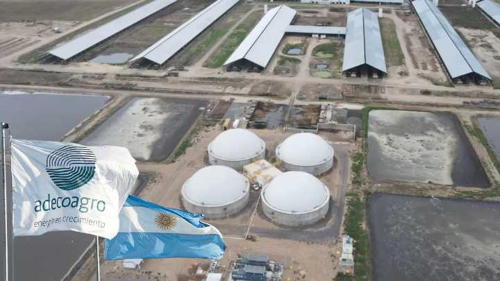 Primer tropiezo para Tether en el agro: Adecoagro cierra trimestre con pérdidas