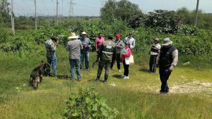 Tren México-Querétaro: Ejidatarios y funcionarios federales hacen recorrido por posible paso en Tula