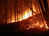Experts Debate Climate Change's Role in Washington Fires