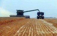 Jefe de Estado: Producción agrícola tiene un crecimiento estable anual del 4,5 al 5 %