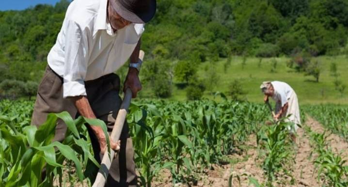 El Congreso aprueba la nueva Ley Agraria: Impuesto a la Renta en 15 % hasta 2035 para grandes empresas