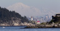 Transportation Safety Board sends investigators to B.C. after tour boat runs aground