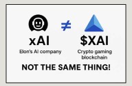 Small Gaming Firm Challenges Musk’s xAI in Trademark Dispute