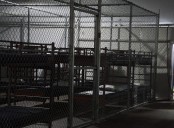 Cónsul de México en Miami confirma detención de 78 mexicanos en “Alligator Alcatraz”