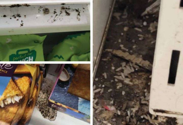 Shocking pictures inside Sainsbury’s in Romney Place, Maidstone, after ‘widespread’ black mould found on food shelves