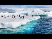 Abrupt Antarctic climate shifts could lead to "catastrophic consequences" for years, study finds