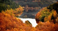 'False autumn' has been triggered by 'stress of extreme summer', warns Met Office
