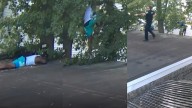 Man found hiding in tree after leading Mass. police on hourlong chase