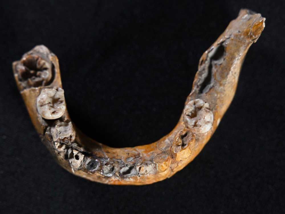 Humans could have interbred with Neanderthals earlier than thought