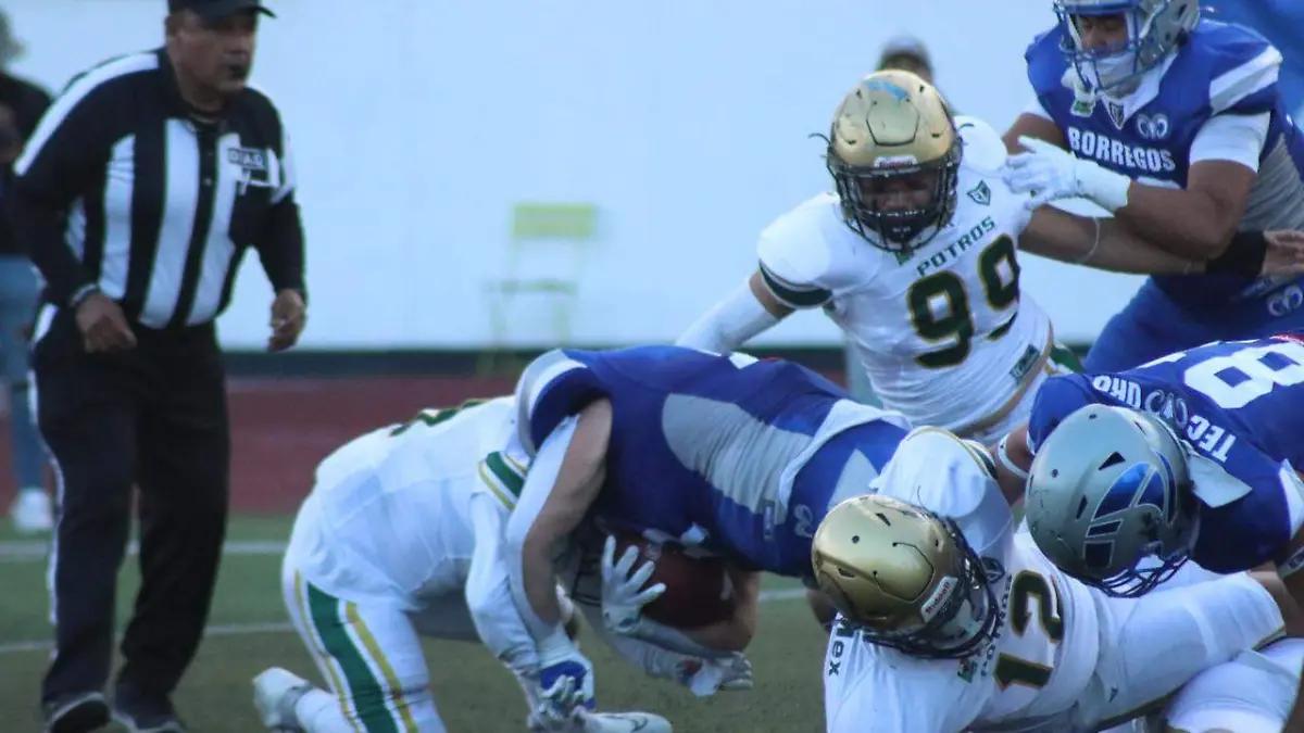 Potros Salvajes recibe a Borregos Querétaro en el arranque de Liga Mayor de la ONEFA