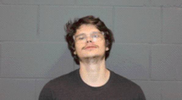 Marionville man pleads guilty to multiple sex crimes with two underage girls