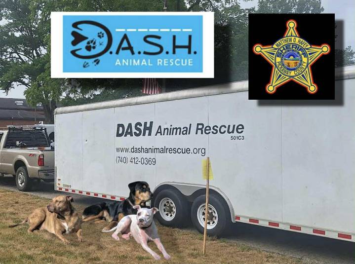 On International Dog Day, DASH and Sheriff’s Office Announce First