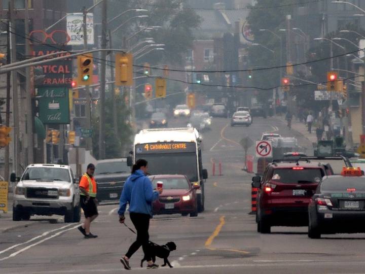 Kingston to work on enhanced hot weather response plan