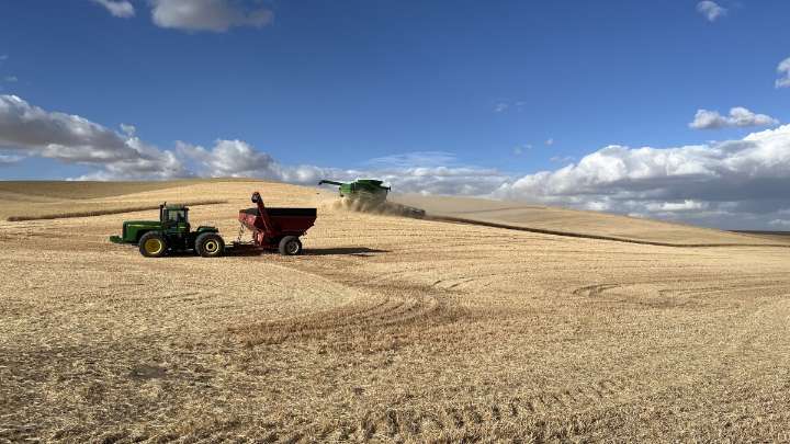 Dependent on foreign sales, U.S. wheat farmers hoping longtime partners stick with them