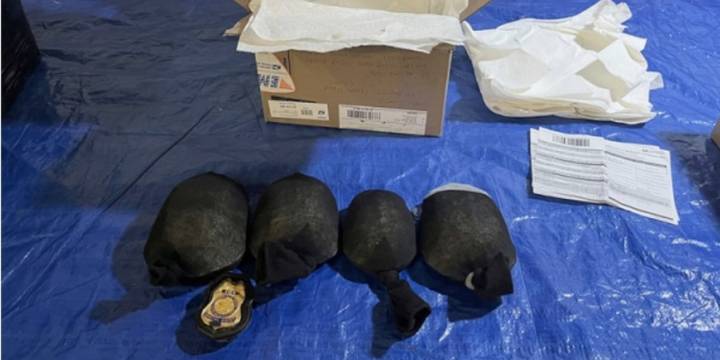 Man admits he tried to smuggle 850 turtles in his socks worth $1.4 million to Hong Kong