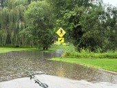 How much rain fell during the Friday and Saturday severe storms in Minnesota?