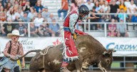 GALLERY: Bull Bonanza Preston