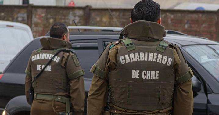 Exdiputado de Neuquén intentó ingresar a Chile con municiones ocultas: lo descubrieron en Pino Hachado