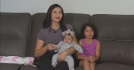 Colorado mom shares experience saving money on baby supplies amid increased costs