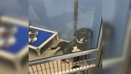 After Years Inside A Kennel, Arizona Dog’s Reaction To Being Noticed Left Everyone Speechless