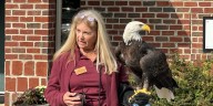 ‘Give a Hoot’: Soarin’ Hawk Raptor Rehabilitation to host fundraiser in September