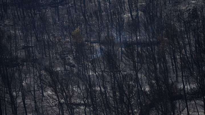 Firefighters battle to prevent reignition of France's largest wildfire as residents return home