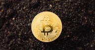 Ethereum: a cuánto cotiza este domingo 10 de agosto