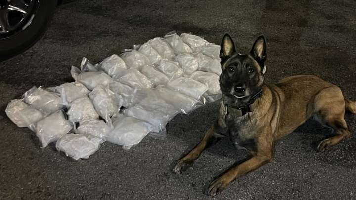 K9s lead officers to 40 pounds of meth in Monterey, Merced counties: CHP