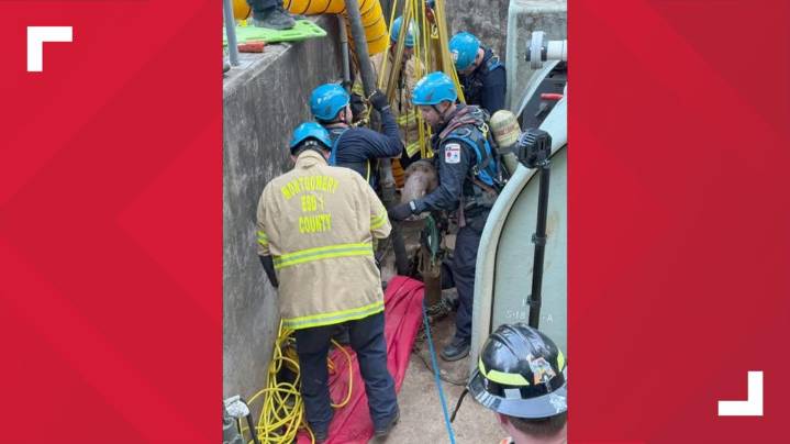 SHERIFF: 3 dead due to gas leak in Trinity County, bodies recovered