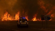 España arde: incendios forestales arrasan miles de hectáreas y dejan un rastro de destrucción