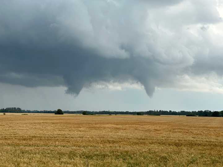 Three weak tornadoes confirmed in southern Manitoba last week