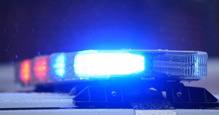 Amber alert issued for missing 8-month-old Brampton, Ont. boy