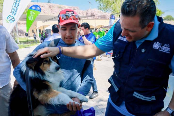 Marca precedente Marco Bonilla para la protección y atención de animales en Chihuahua Capital