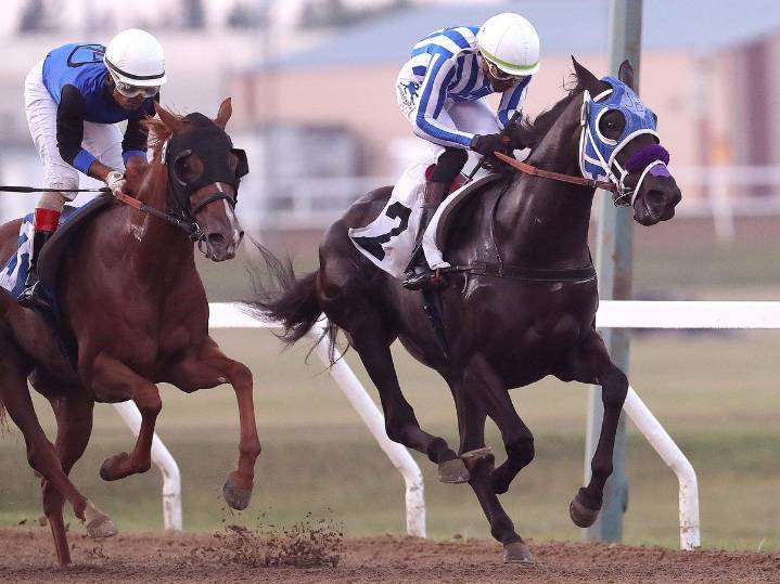 TAYLOR: Jockey race tightens: Whitehall on top, Badrie out for season