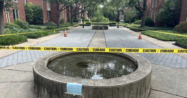 Electrocution by water fountain