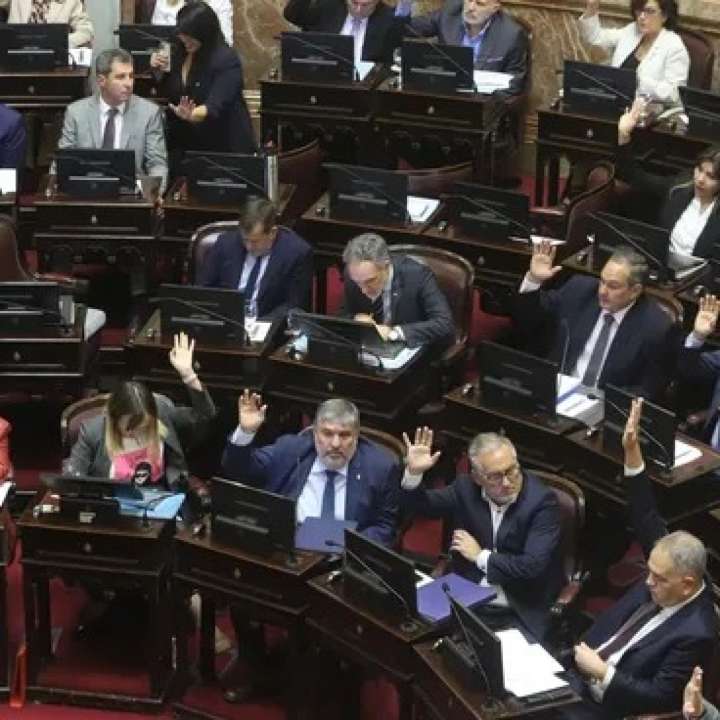 Senado refuerza la confrontación: convoca a una sesión por la emergencia en el Garrahan y la ley de financiamiento universitario