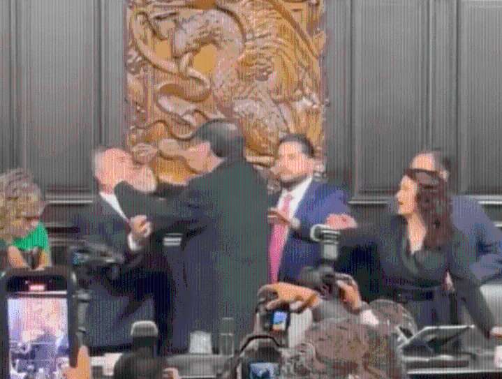 Senadores Moreno y Noroña se enfrentan a golpes en el Congreso
