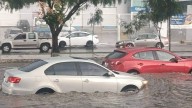 ¡Se soltó con todo! Lluvia en León inunda bulevares y colapsan de postes y árboles