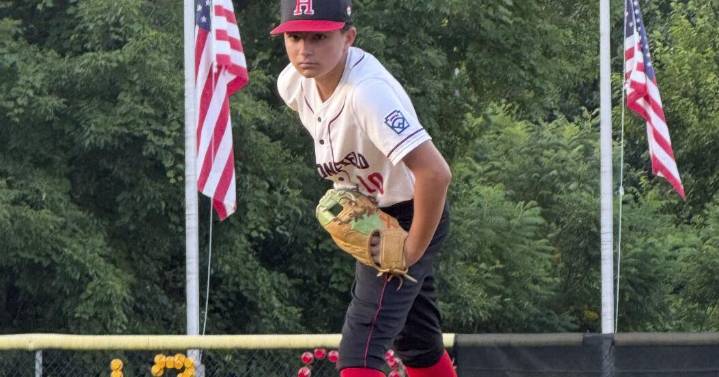 Bat made famous in New Jersey Little Leaguer's celebratory flip is put up for auction as benefit
