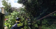 Lluvia en CDMX del viernes dejó 14 árboles caídos; seguirán lluvias HOY 9 de agosto