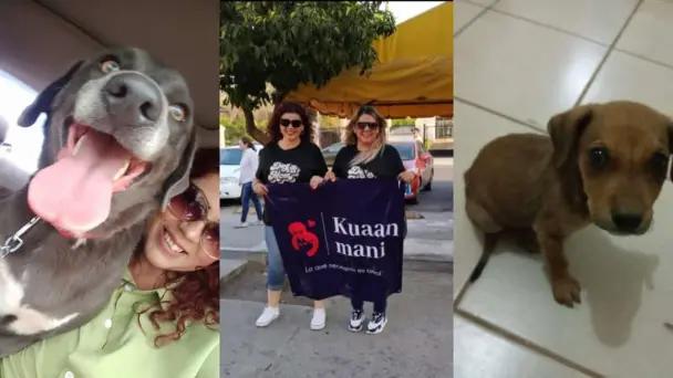 Kuaan Mani: Un refugio para perros sin hogar