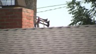 Vecinos están hartos de hombre que suena bocinas de tren a diario en Van Nuys