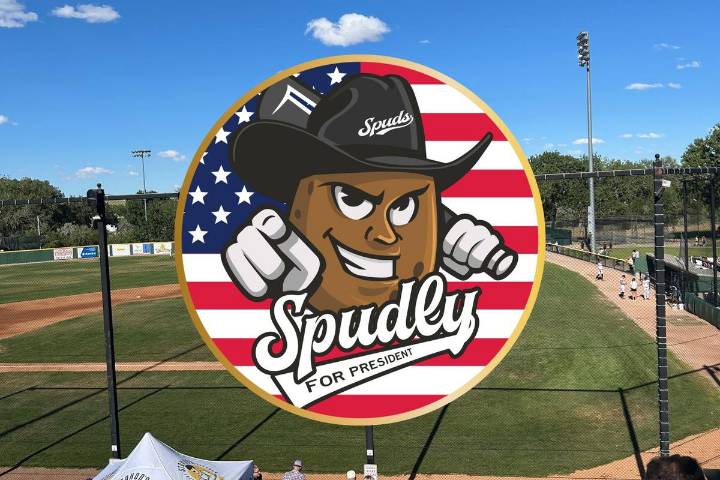 Help Bring The Savannah Bananas To Casper!