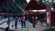 Night Out at the Heard 2024