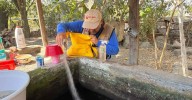 Mantiene Salud lucha contra el dengue; fortalece control larvario en municipios de riesgo