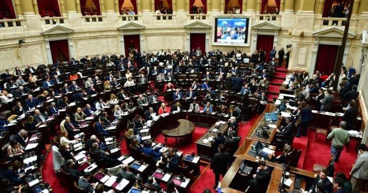 Diputados rechazó el veto de Milei y ratificó la ley de emergencia en discapacidad